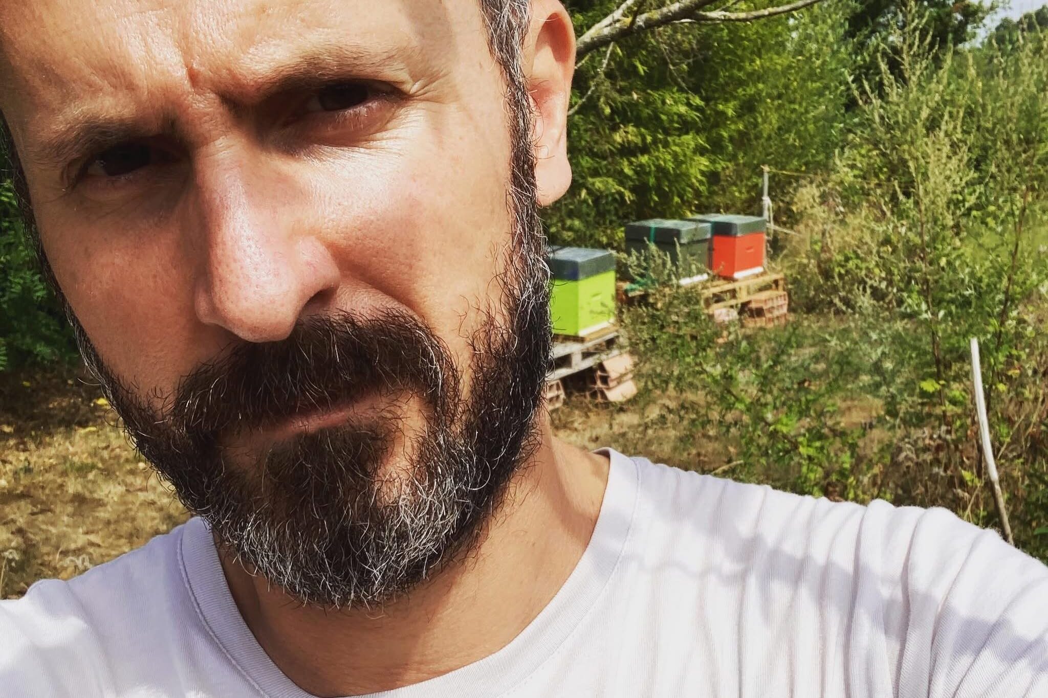 A bearded man wearing a white T-shirt is looking at the camera in an outdoor setting. Behind him, a few colorful beehives are placed on pallets among green foliage. The weather appears to be sunny.